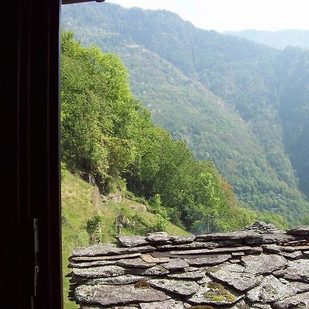 Appartamentino Nel Bosco Sondrio Exterior photo