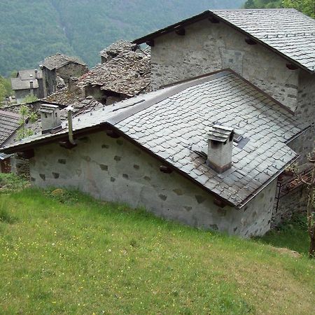 Appartamentino Nel Bosco Sondrio Exterior photo
